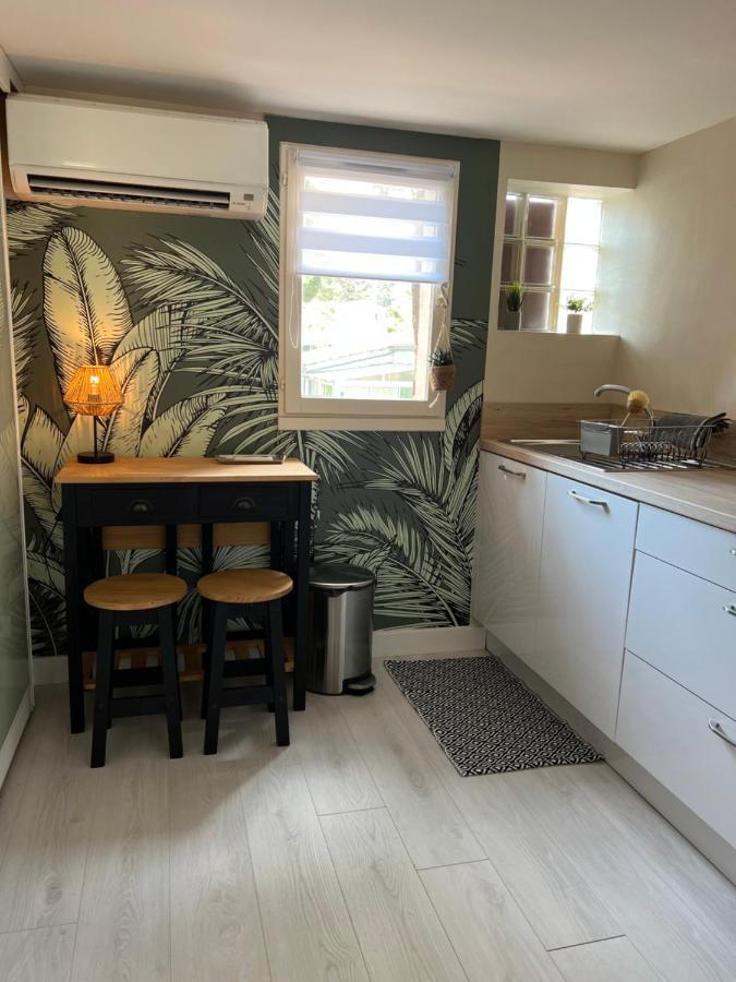 Appartement Proche Village Naturiste, Terrasse Et Parking Agde Eksteriør billede